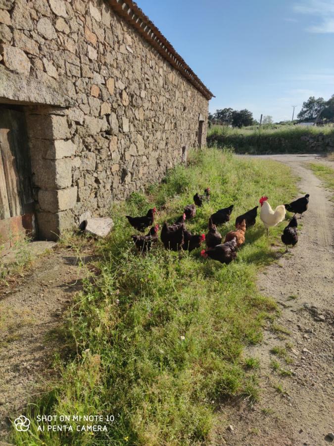 La Iglesuela Tu Casa De Puebloヴィラ エクステリア 写真